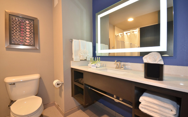 Holiday Inn Exp Stes South by IHG