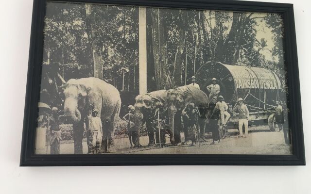 The Entrance - Galle Fort