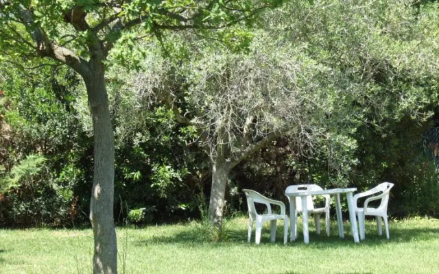 Agriturismo Tattarini