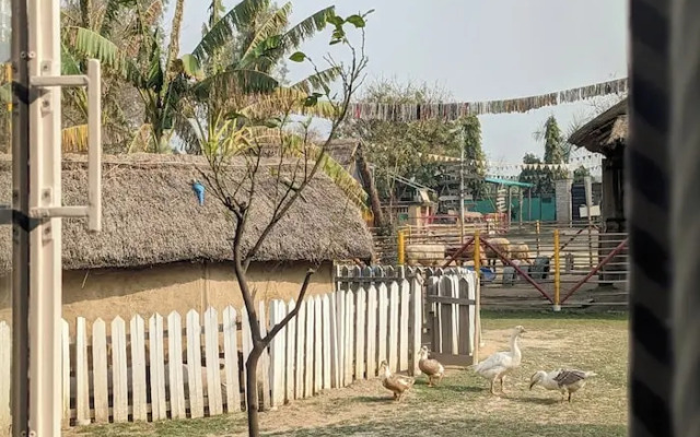 Tuk Tuk Gilhari Noida