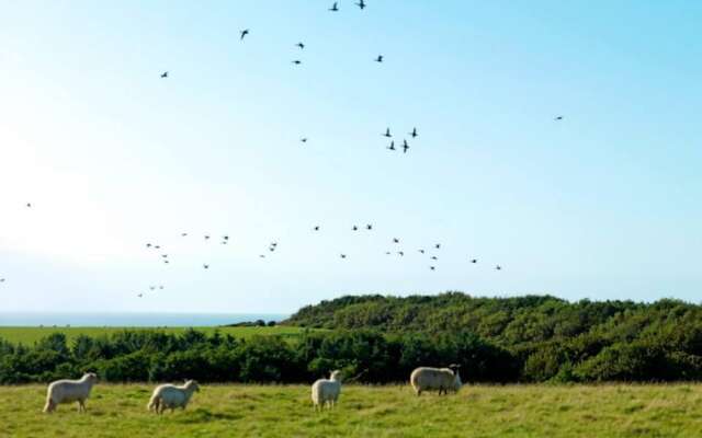 18 'izar' Bell Tent Glamping Anglesey