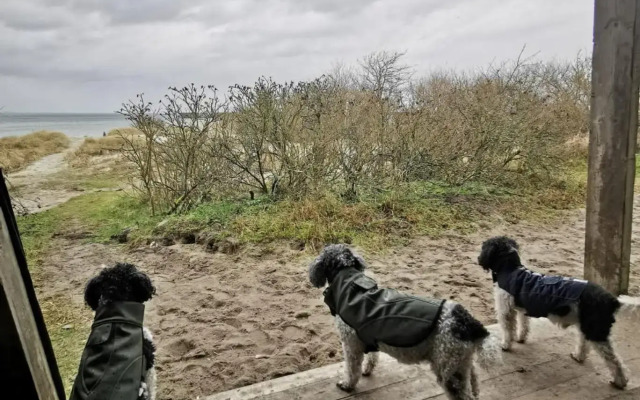 Ferienwohnung Schwede