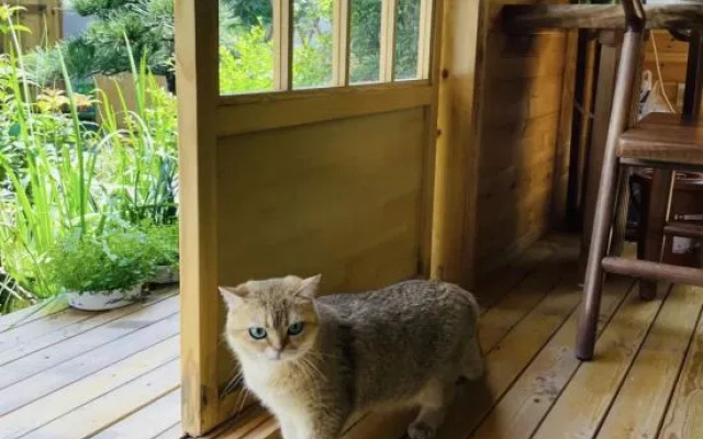 Jinyun Mountain Residence (Qinling Wildlife Park Branch)