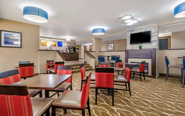 Comfort Inn & Suites St. Pete - Clearwater International Airport