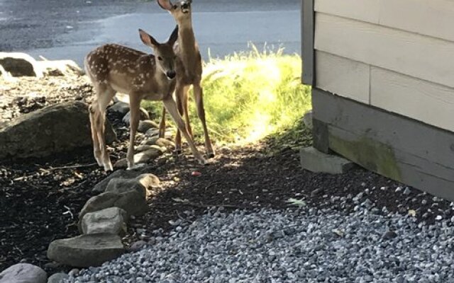 Westwood Villas, Lake Harmony, USA