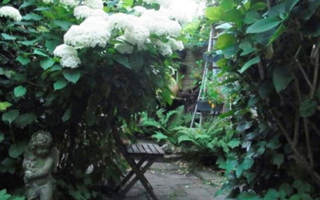 Holiday Home near Grote Market in Heart of Haarlem