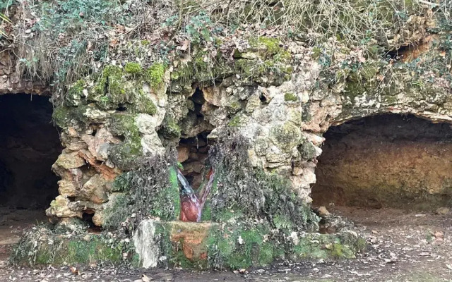 Newly renovated house with pool