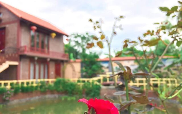 Tam Coc Homestay Ngoc Linh
