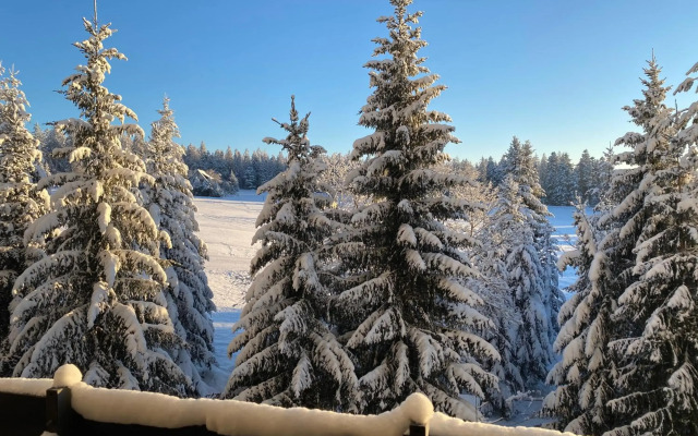 Schwarzwald Wohnung Kniebis