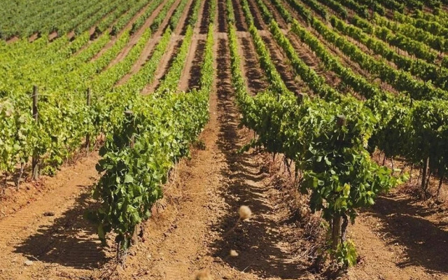 Baglio Caruana Cantina & Relais