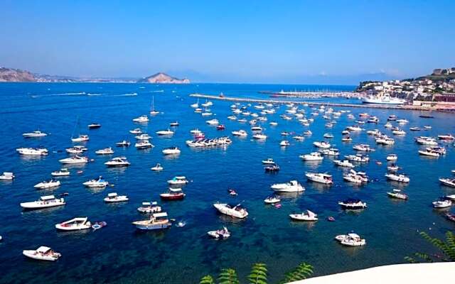 Summer Paradise
