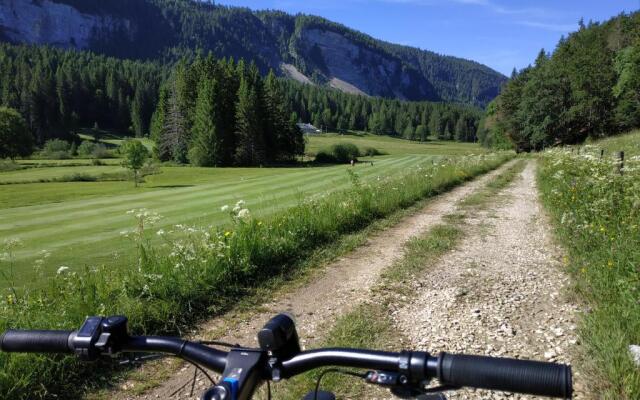 Les Chamois