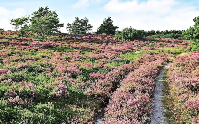 6 Person Holiday Home in Romo