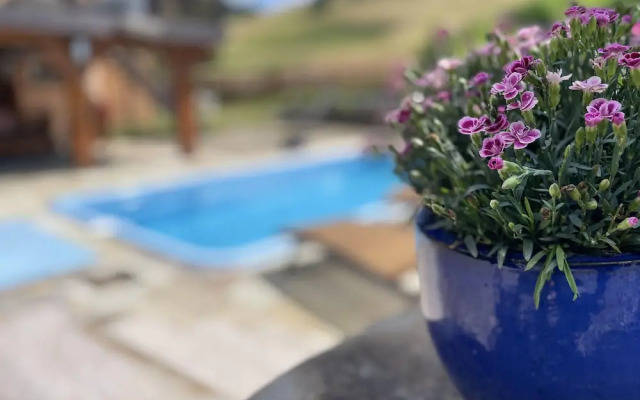 Traumhaftes Schwarzwaldhaus mit Swimmingpool