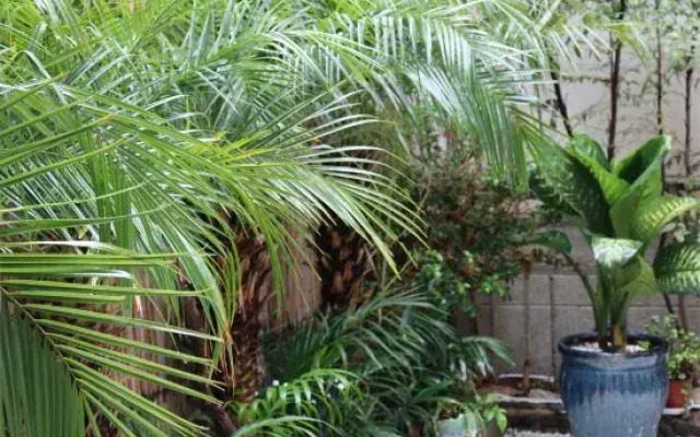 Shuimu Yunxiao Huanxi Courtyard B&B (Dali Ancient Town Branch)