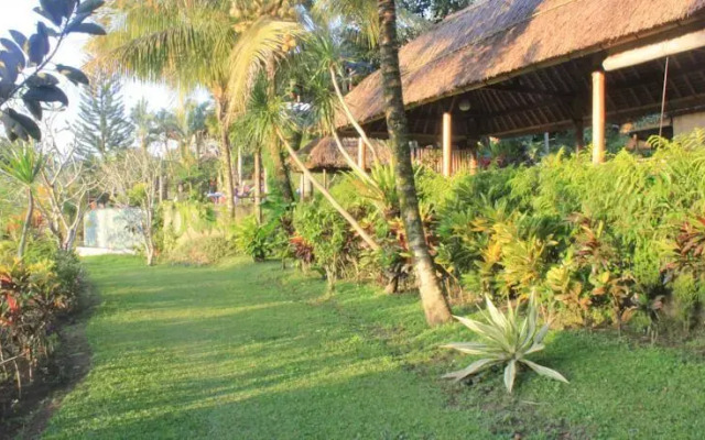 Lihat Sawah 1