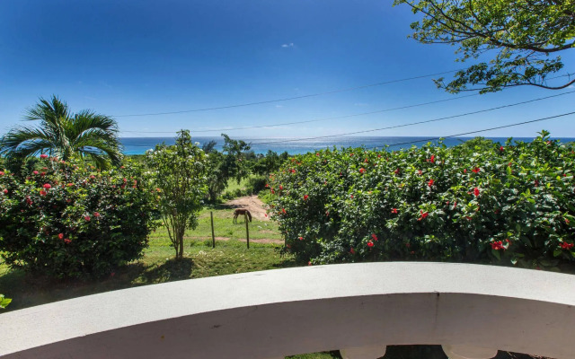 Hacienda Tamarindo