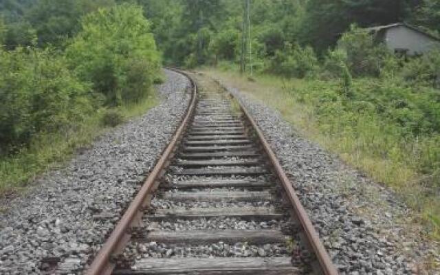 Lika Dream - Obradovic