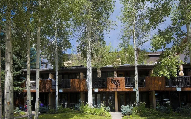 Skaal House