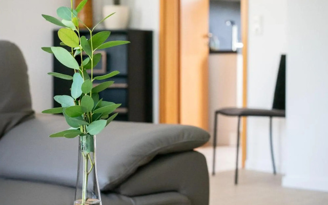 Ferienhaus Kaiserbaum