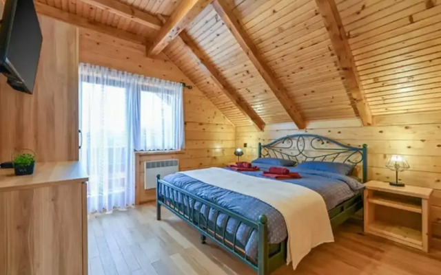 Vineyard Dream Villa in Vinogradi Ludbreski