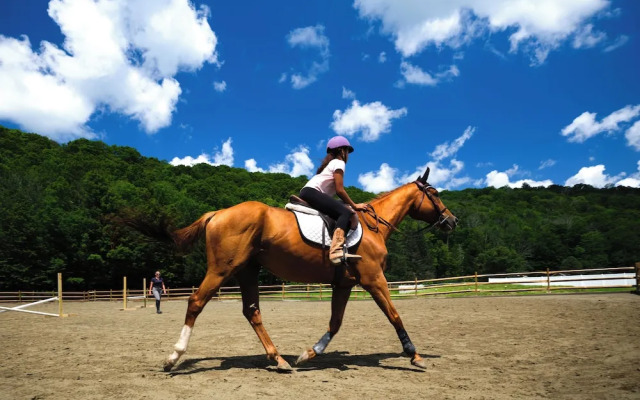 Saddleview Bed & Breakfast