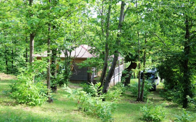 Chalet With 3 Bedrooms in Gravières, With Wonderful Mountain View, Poo