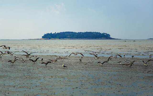 Buan Stay Resort