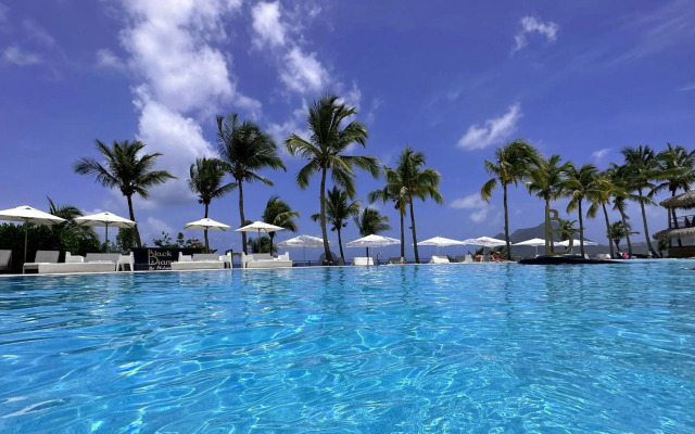 Studio Jungle Diamond