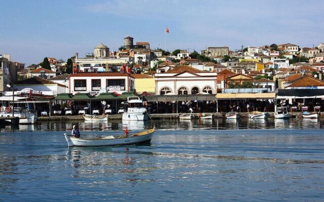 Siyah Lale Cunda 1841