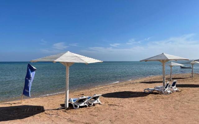 Beautiful 1-Bed Apartment