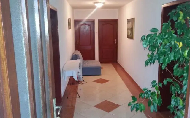 Apartments Stevo Nikočević