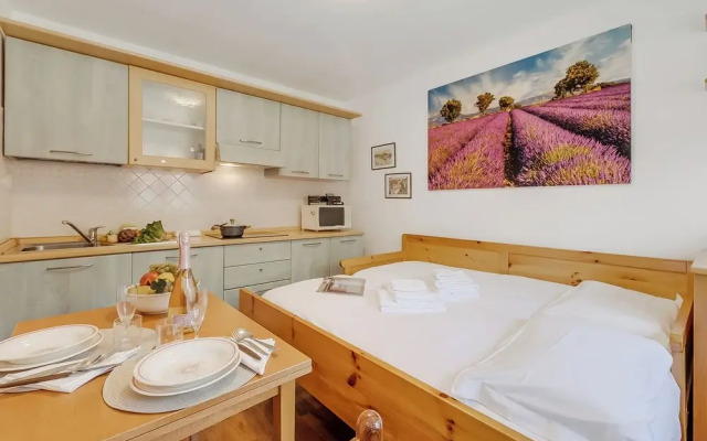 Hermitage Studio - close to ski pistes