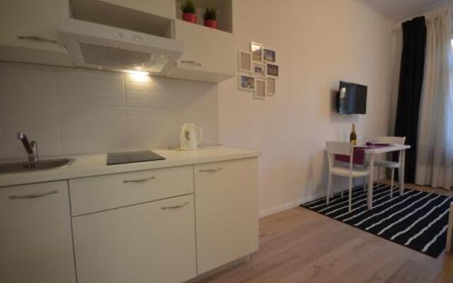 Downtown Luxury Apartment