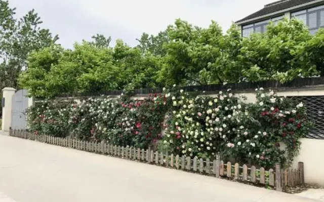 Shanghai Mu She Homestay