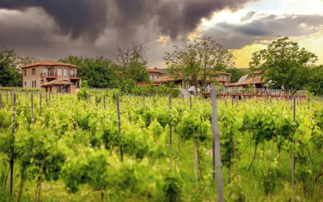 Schuchmann Wines Château,Villas & SPA