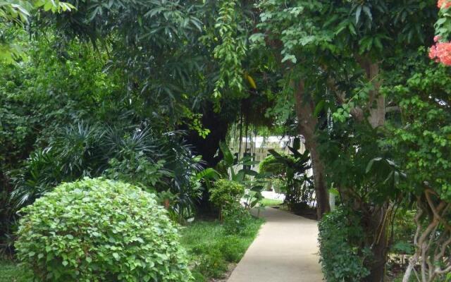 Samui Beach Resort