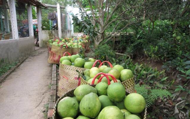 My Hoa Mekong Homestay