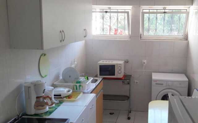 Palm Guesthouse B&B