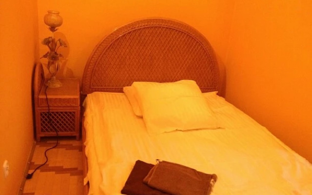 Palac w Czyzowie szlacheckim