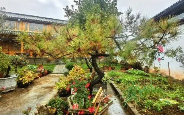 Lijiang Wenfu Courtyard Inn