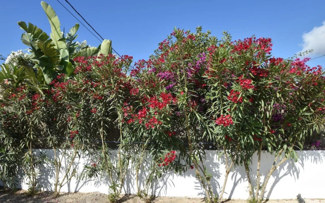 Belvilla by OYO Casa Majo II