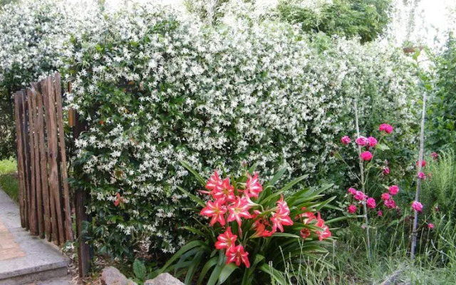 Vallelunga Guesthouse