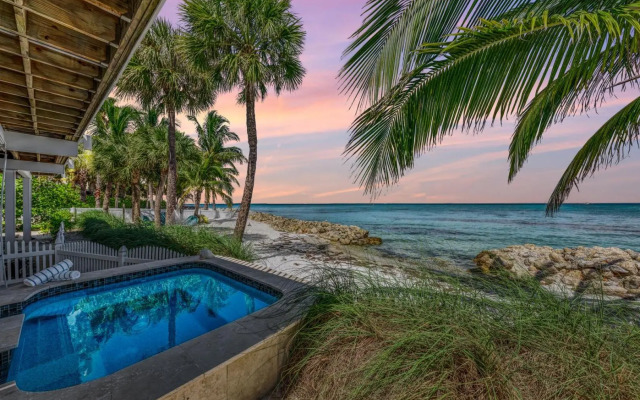 Dolphin Tales - 836 S Bay