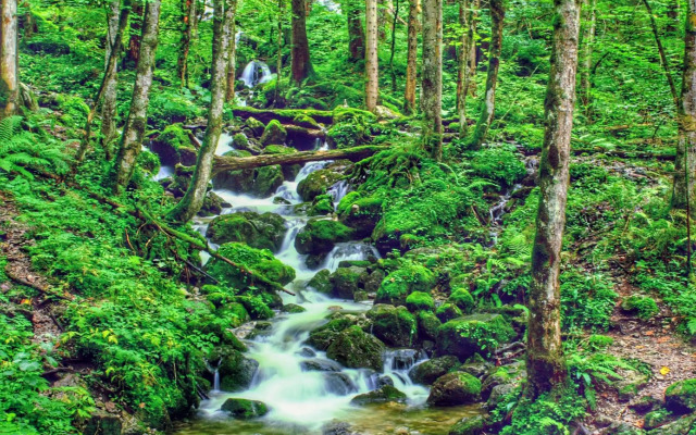 Predigtstuhlblick Apartment - Terrasse - Pool - Panorama