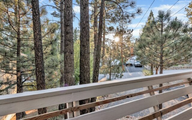 Fox & Bears Retreat#2190