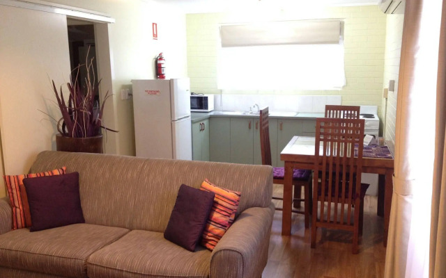 Coconut Palms on the Bay