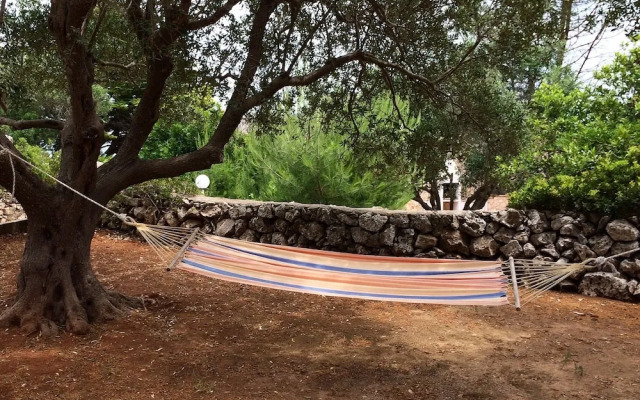 Scogliera del Gabbiano