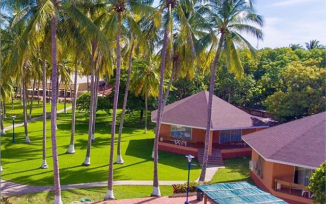 Pacific Paradise