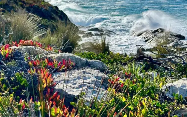 Unwind Kangaroo Island Dreaming